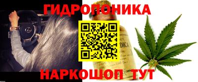 spice Кулебаки