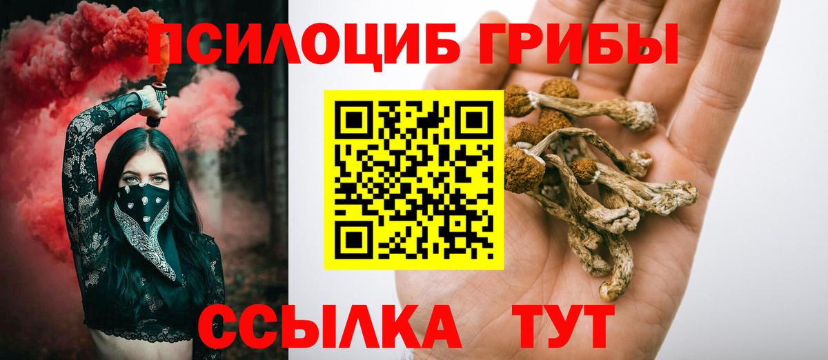 Касимов  даркнет сайт  Вход с VPN  Галлюциногенные грибы Psilocybe 
